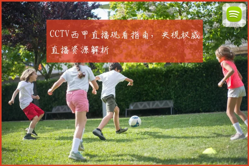 CCTV西甲直播观看指南，央视权威直播资源解析
