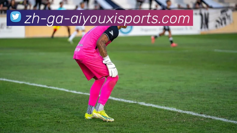 爱游戏体育服务体系